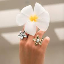 Anel QUDO PESCIA prateado