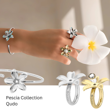 Anel QUDO PESCIA prateado