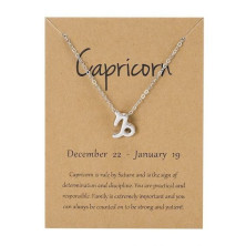 Fio Signo Capricórnio Prateado