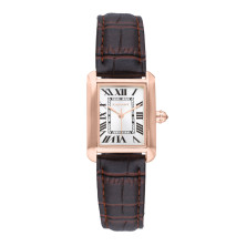 Nicole Correia Chocolate RADIANT Women's Watch | Sweet Apple